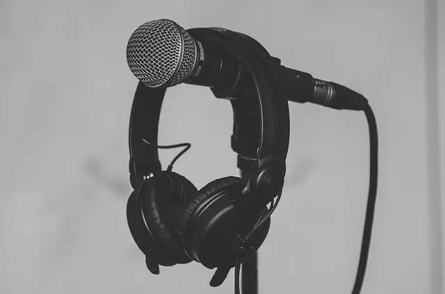 Guía de Compra Altavoces de Audio para Exteriores