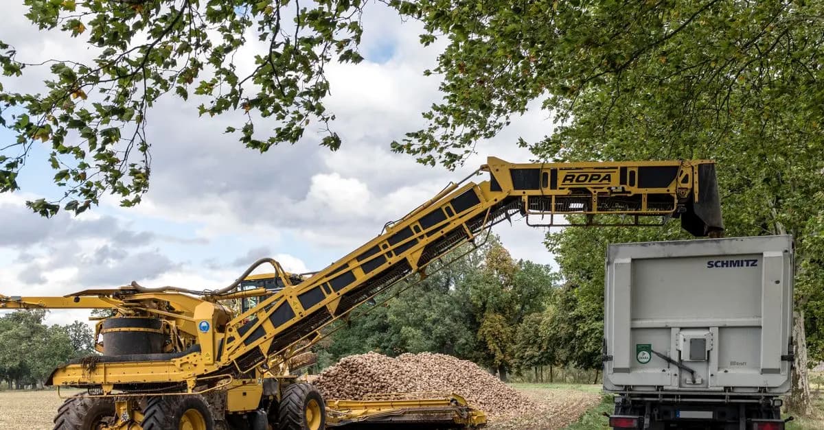 Équipements de Battage : Erreurs à Éviter lors de l'Achat