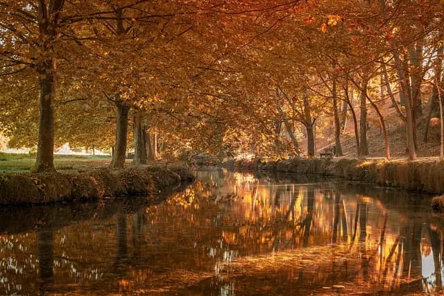 Guide d'achat des équipements de laboratoire essentiels