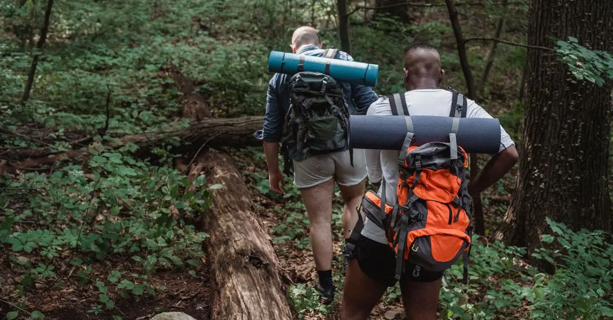 Itinéraires verts pour backpackers - Guide d'achat complet