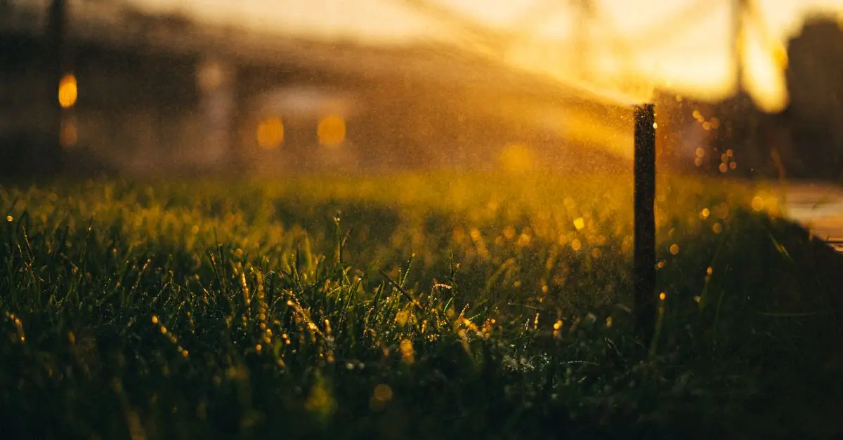 Les meilleurs systèmes d'irrigation pour votre exploitation
