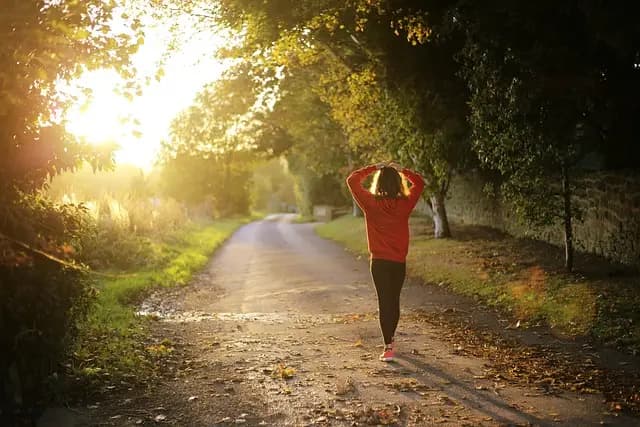 Guide d'achat des meilleures joggings pour le fitness