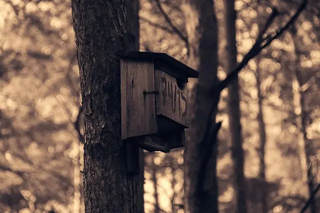 Najlepsze akcesoria dla królików - Przewodnik zakupowy