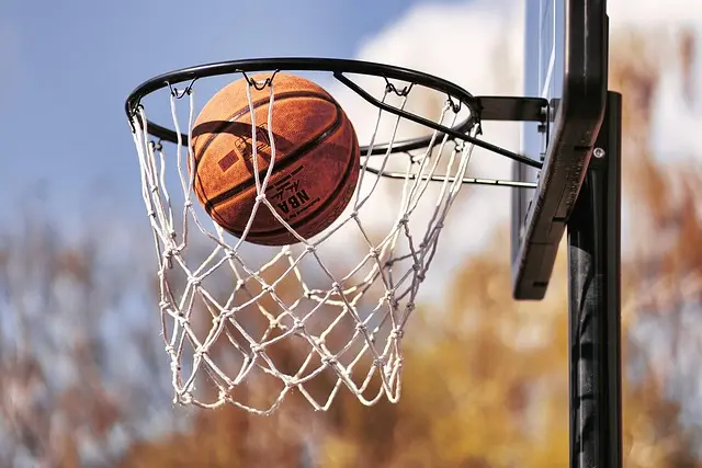 Guide d'Achat : Ballons de Basketball Durable et Performant