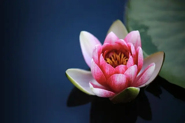 Modne Torebki na Wiosnę - Przewodnik Zakupowy