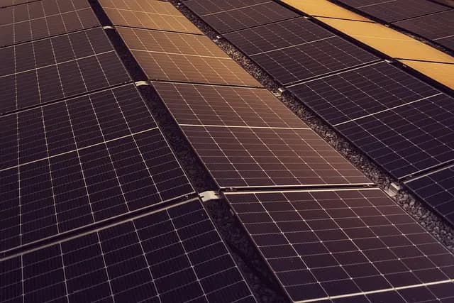 Guide d'achat sur la meilleure pompe solaire pour étang