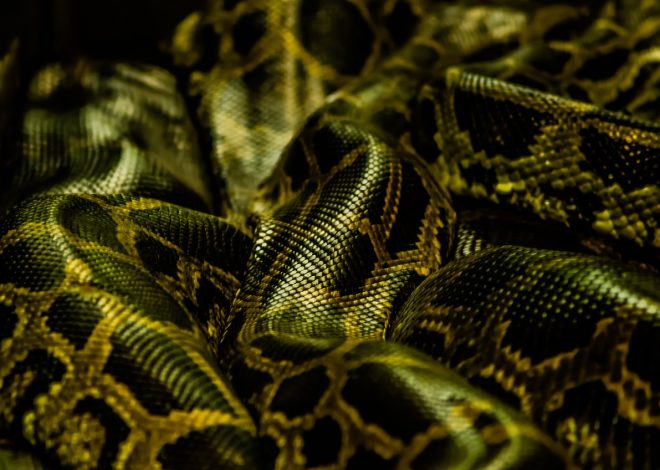 La puissance de l&rsquo;inspiration : Comment transformer sa vie