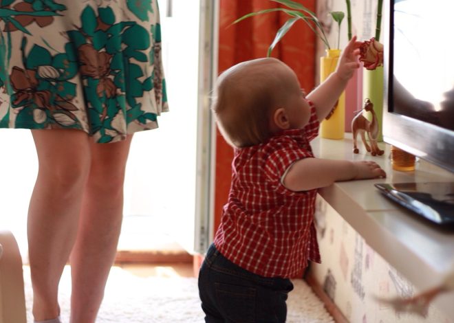 Les bienfaits de la curiosité sur le cerveau