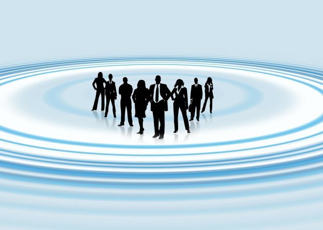 Les secrets des experts révélés