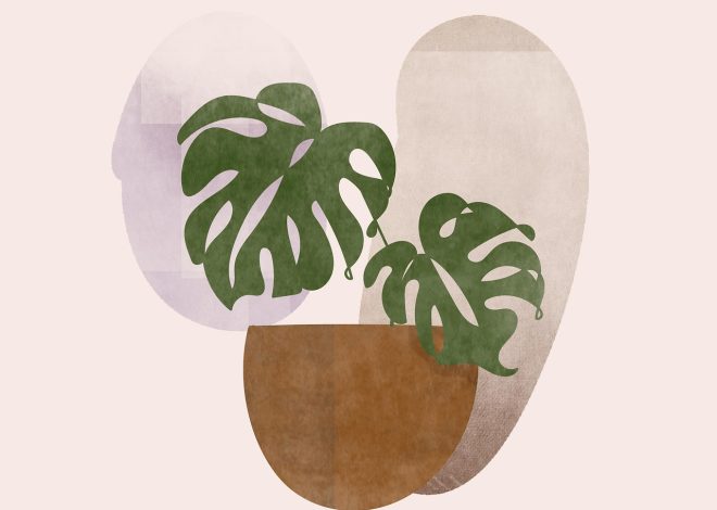 Style bohème pour un intérieur chaleureux et authentique